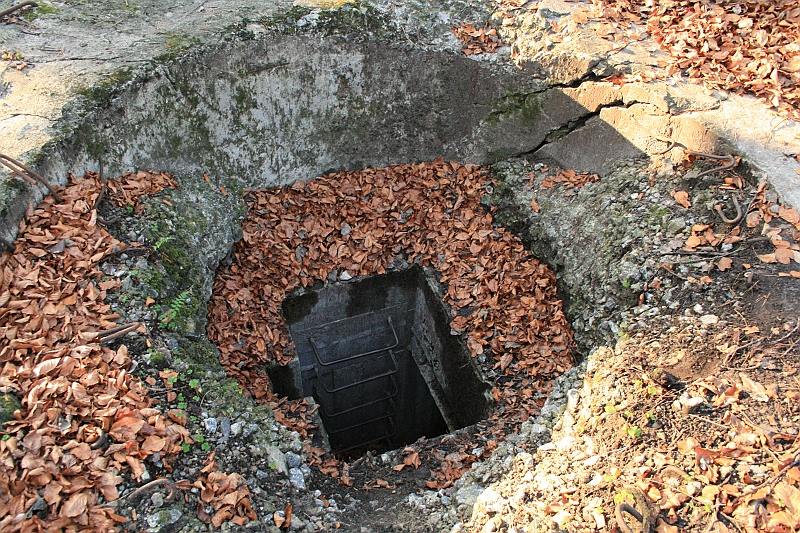 Rostoczek 11.2008 289